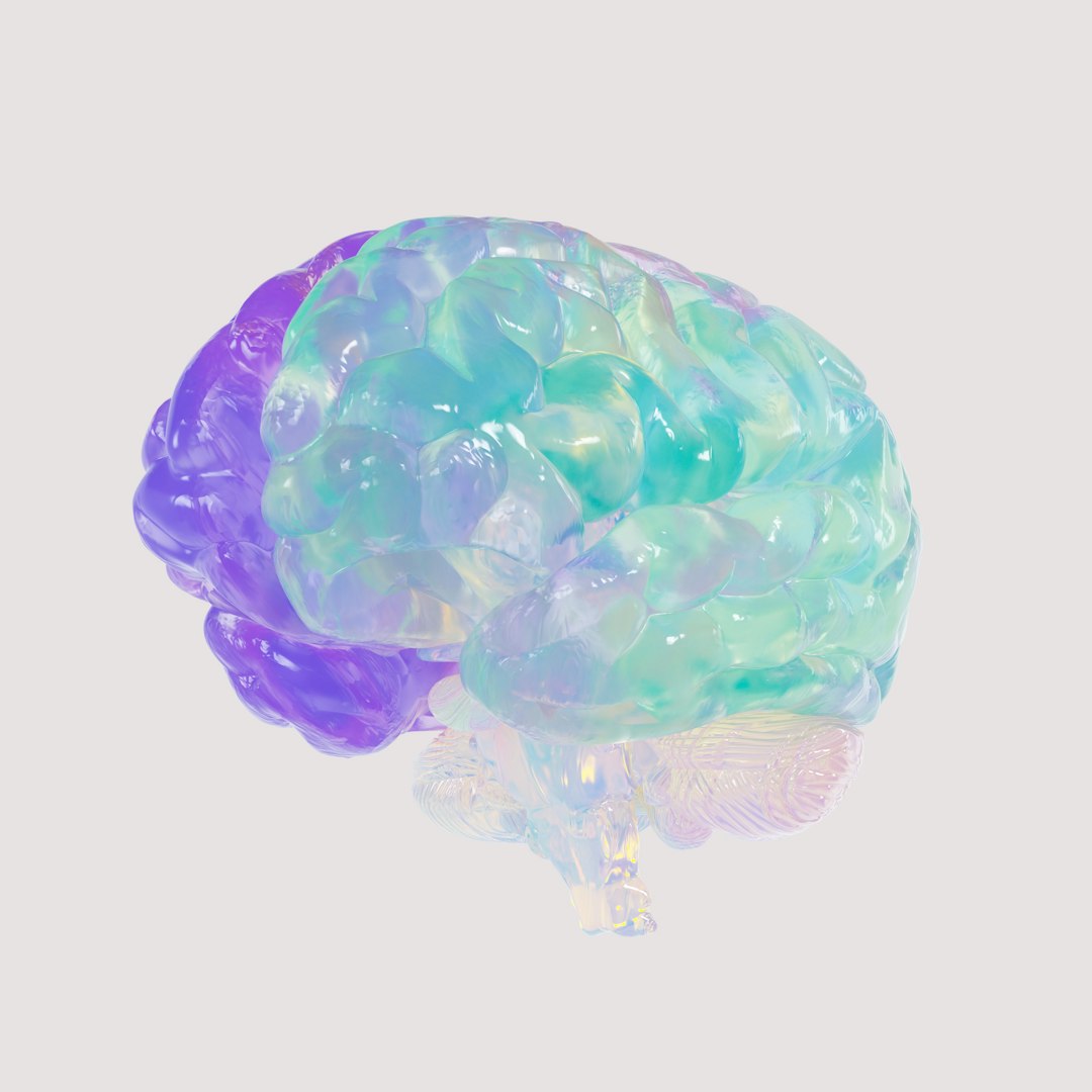 How to Make a Brain: New Experiments Challenge Existing Picture
